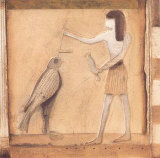 Egypt VI