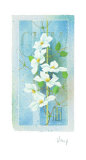White Tenderness II