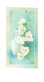 White Tenderness I