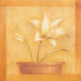 Refined Flower I