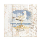 Seagull