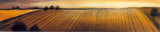 Low Horizons II