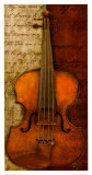 Violin  Symphony II