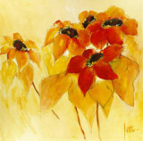 Sunshiny I