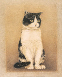 Agatha
