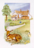 Spring  Deer