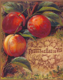Eaux de Vie de Fruits I