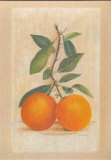 Two Oranges