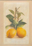 Two Lemons