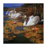 The Swans Family II