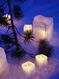 Candles Sitting on Snow by Tree