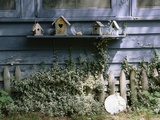 Roma's House