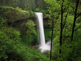 Waterfall Surrounded by Vegetation