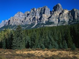 Forest and Castle Mountain