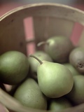 Basket of Seckel Pears