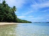 Tropical Coastline of Turtle Island