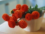 Red Chrysanthemums