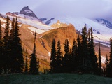 Mount Rainier and Evergreens