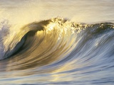 Ocean Wave Breaking