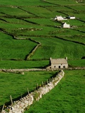 Abandoned Farmhouse in the Irish Countryside