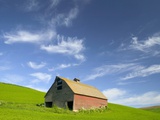 Old Barn in Wheat Field in Eastern Washington