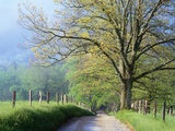 Cades Cove Lane in Great Smoky Mountains National Park