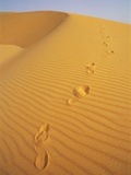 Footprints in Sand Dune