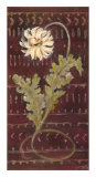 African Daisy II
