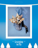 Learning to Fly
