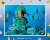 Water Babies Seahorse