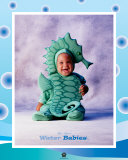 Baby SeaHorse