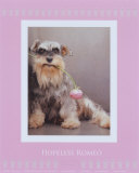 Hopeless Romeo