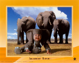 Imaginary Safari  Elephant