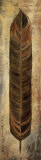 La Pluma II