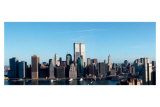 Downtown Panorama