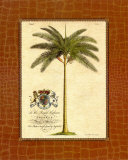 Date Palm