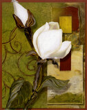 Beautiful Magnolia II