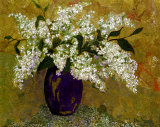 Blue Lilacs
