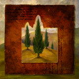 Warn Cypress II