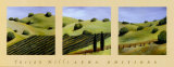 Tuscan Hills