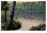 Golden Pond