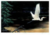 Taking Flight