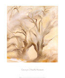 Winter Cottonwoods  East V  1954