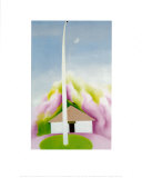 Flag Pole and White House