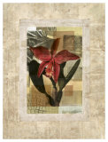 Exotic Book Plate II