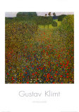 Field of Poppies