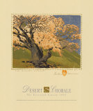 The Bishop's Apricot Tree