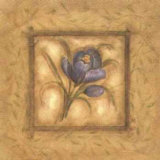 Blue Crocus