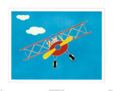 Cat in a Plane I