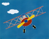 Cat in a Plane II